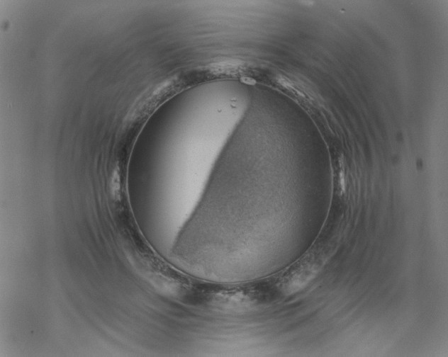 X0000068900502200605122103