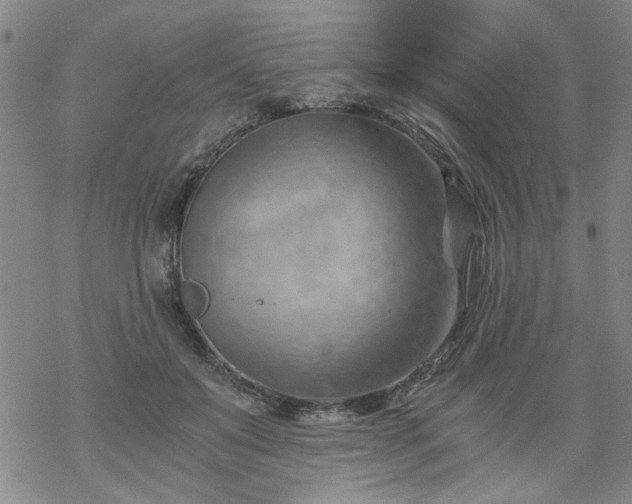 X0000068900503200605122103