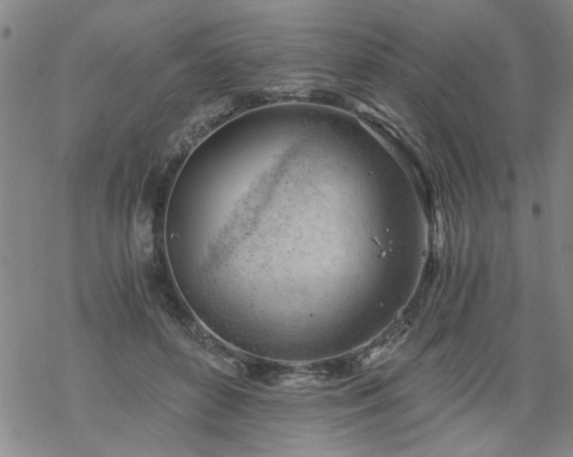 X0000068900504200605122103