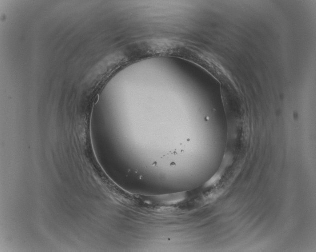 X0000068900505200605122103