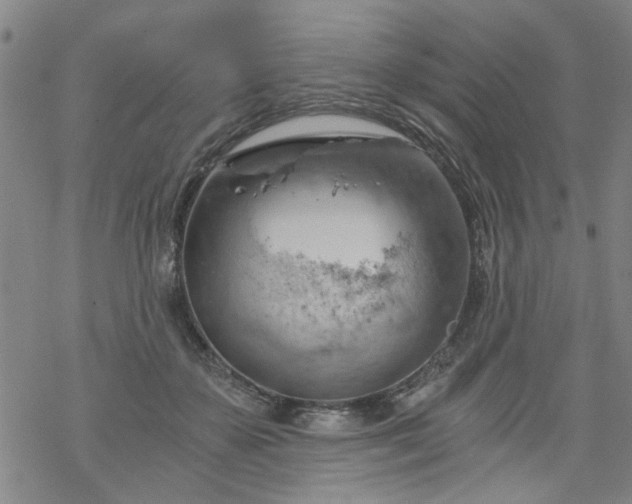 X0000068900507200605122103