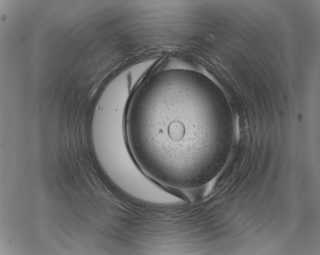 X0000068900508200605122103