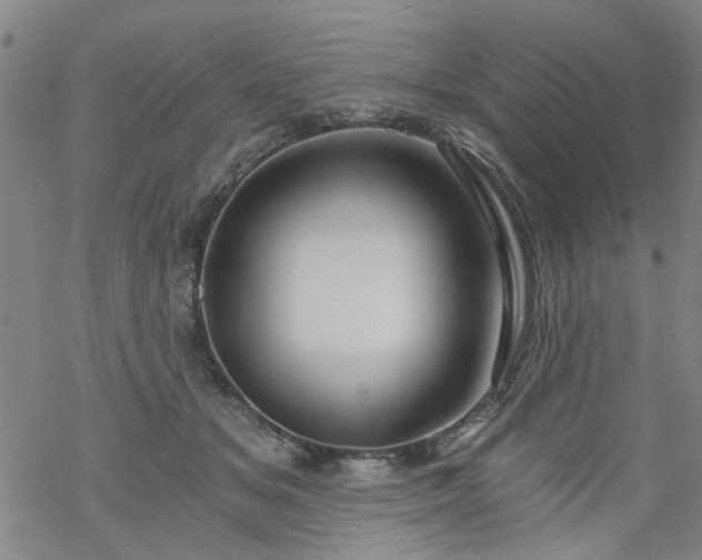 X0000068900509200605122103