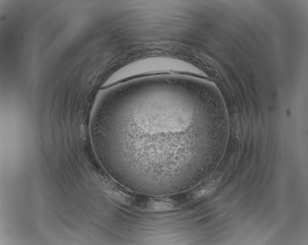 X0000068900510200605122103