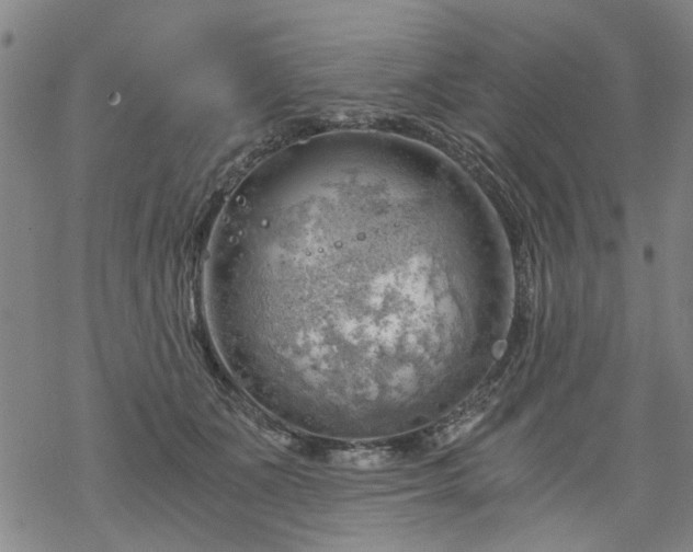 X0000068900511200605122103