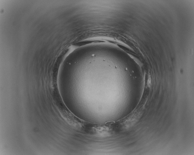 X0000068900512200605122103