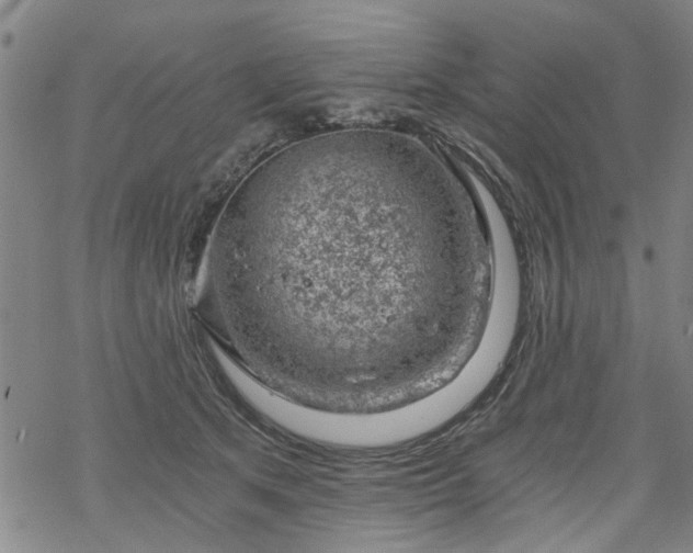 X0000068900513200605122103