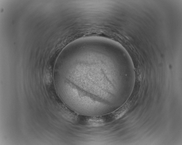 X0000068900515200605122103