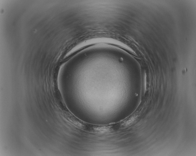 X0000068900516200605122103