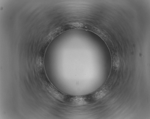 X0000068900518200605122103