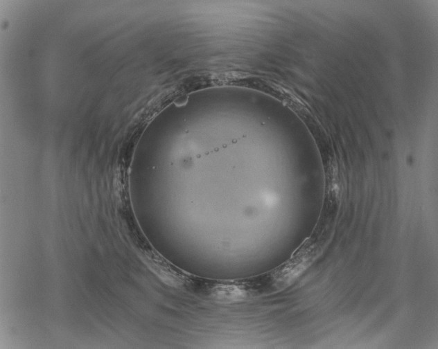 X0000068900519200605122103