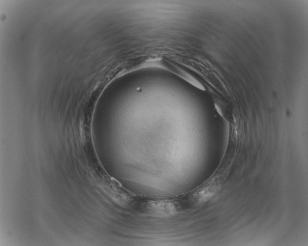 X0000068900520200605122103