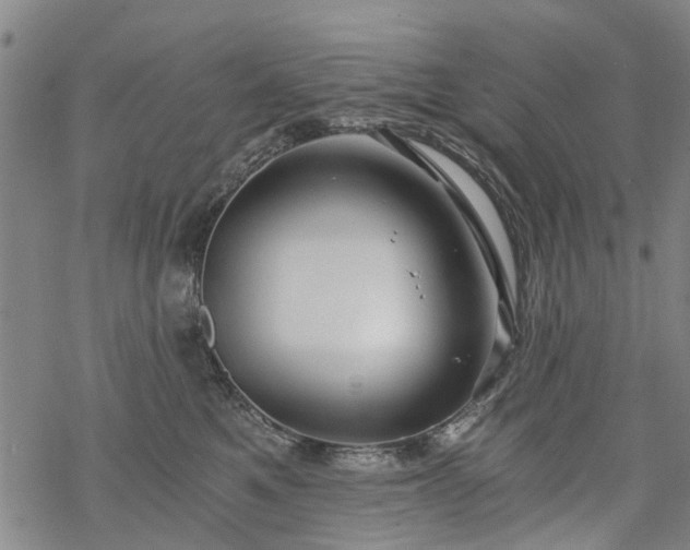 X0000068900521200605122103