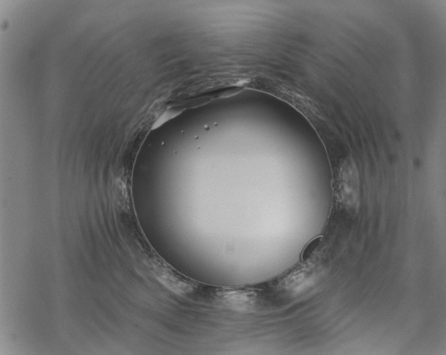 X0000068900522200605122103