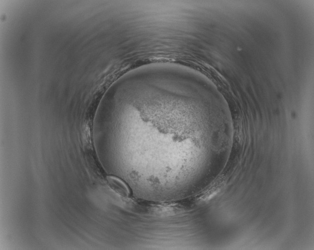 X0000068900523200605122103