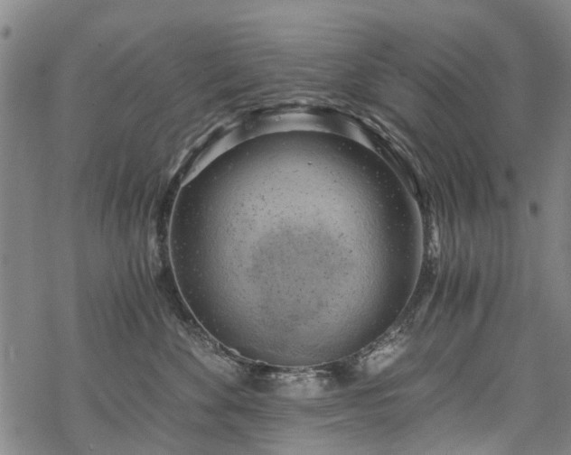 X0000068900524200605122103