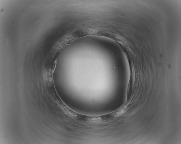 X0000068900525200605122103