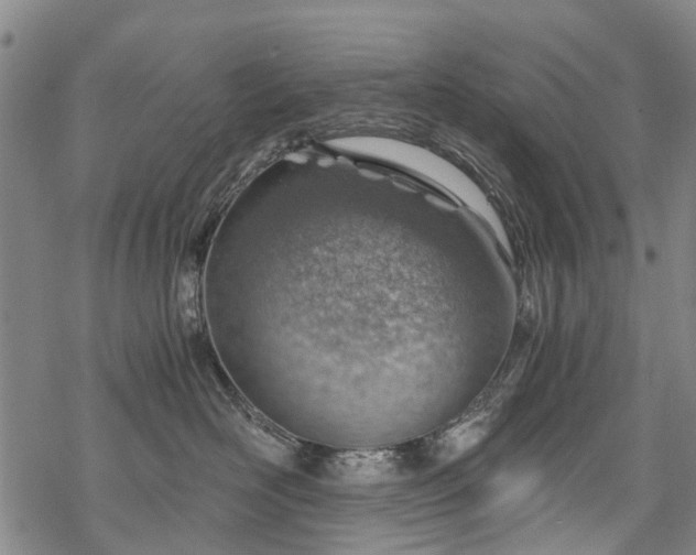 X0000068900526200605122103