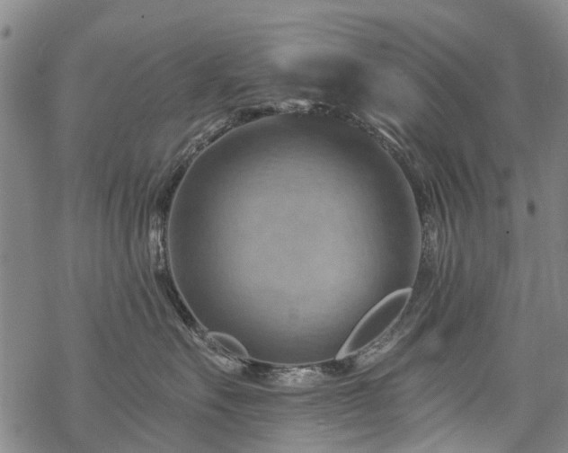 X0000068900527200605122103