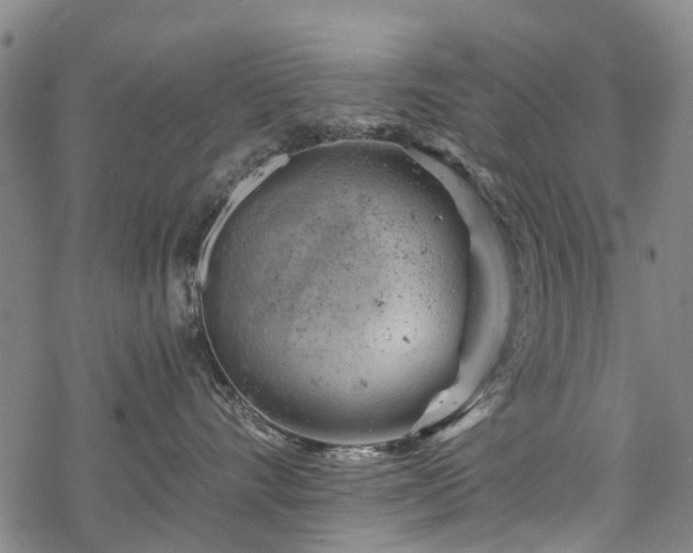 X0000068900528200605122103