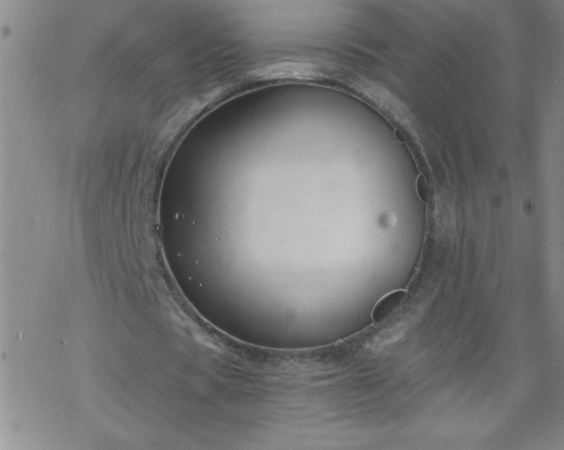 X0000068900529200605122102