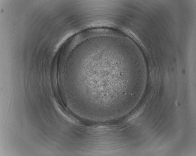 X0000068900530200605122102