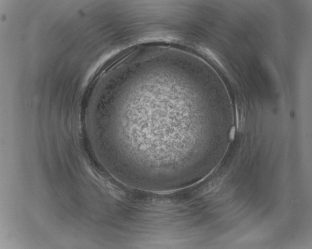 X0000068900531200605122102