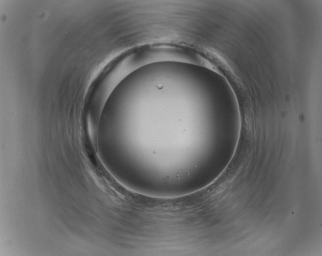 X0000068900532200605122102