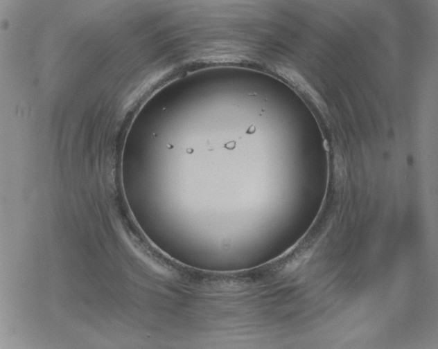 X0000068900533200605122102