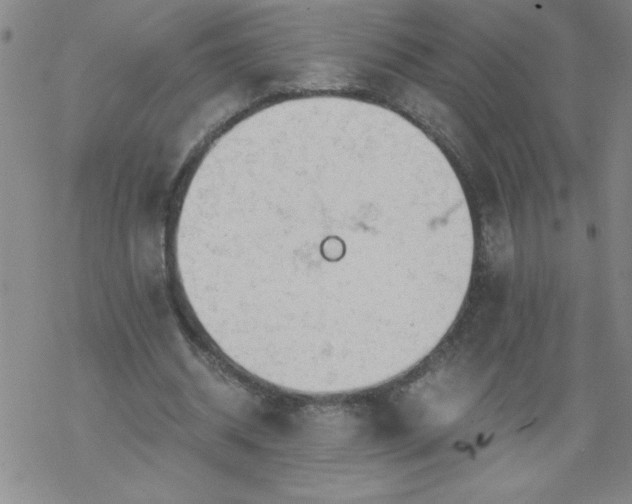 X0000068900534200605122102