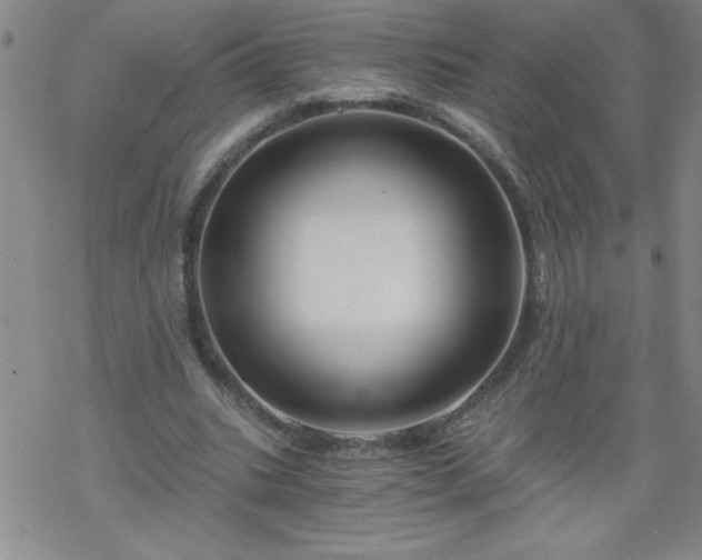 X0000068900535200605122102