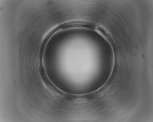 X0000068900536200605122102