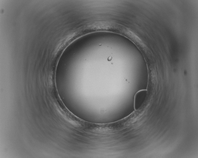 X0000068900537200605122102