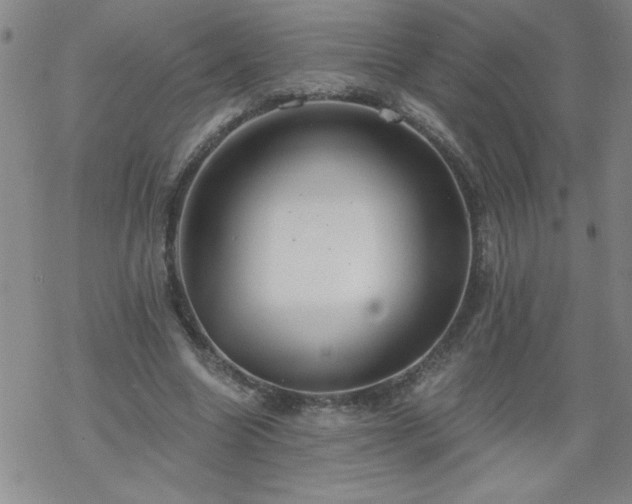 X0000068900538200605122102