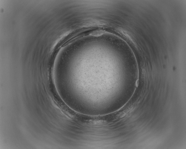 X0000068900539200605122102