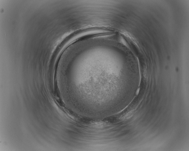 X0000068900540200605122102