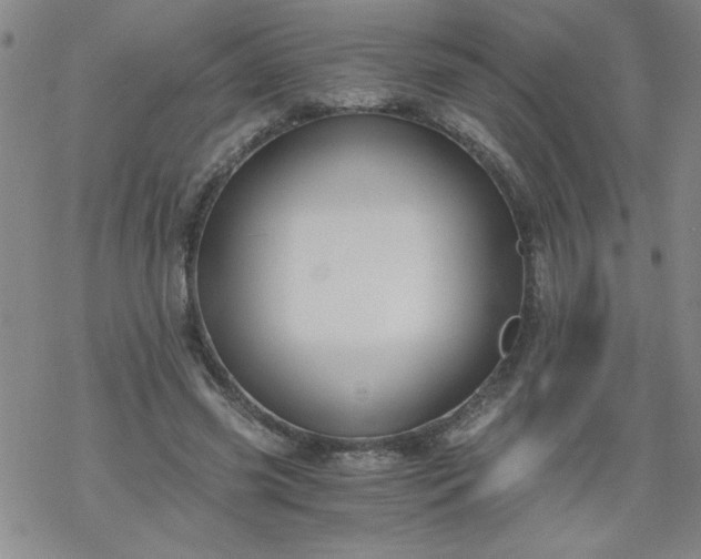 X0000068900541200605122102