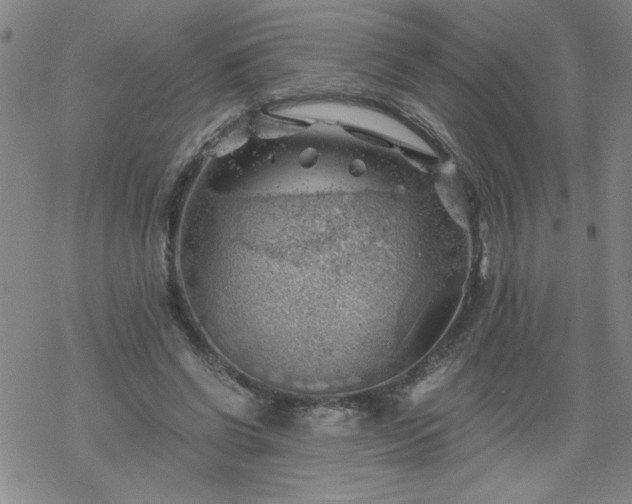 X0000068900542200605122102