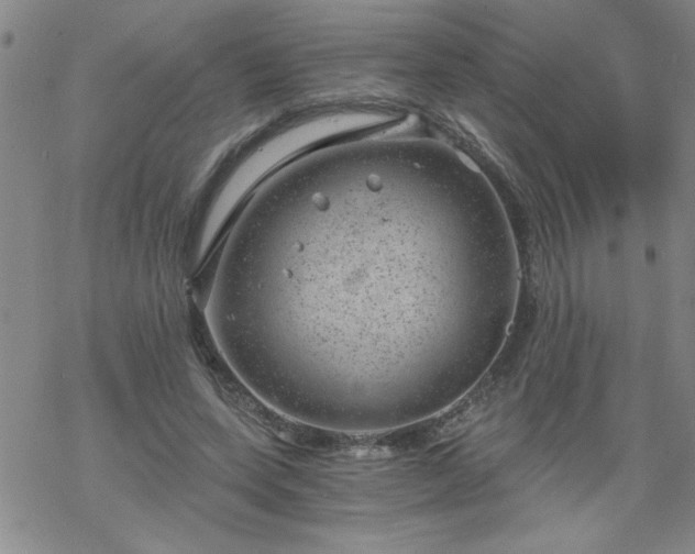 X0000068900543200605122102