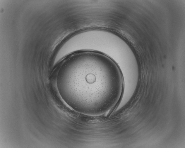 X0000068900544200605122102