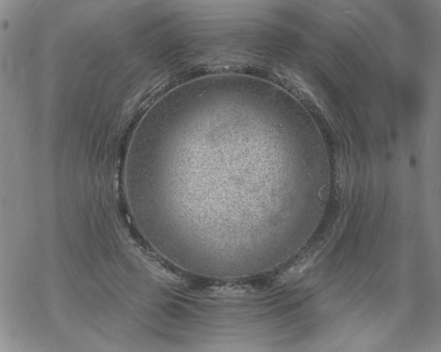 X0000068900545200605122102