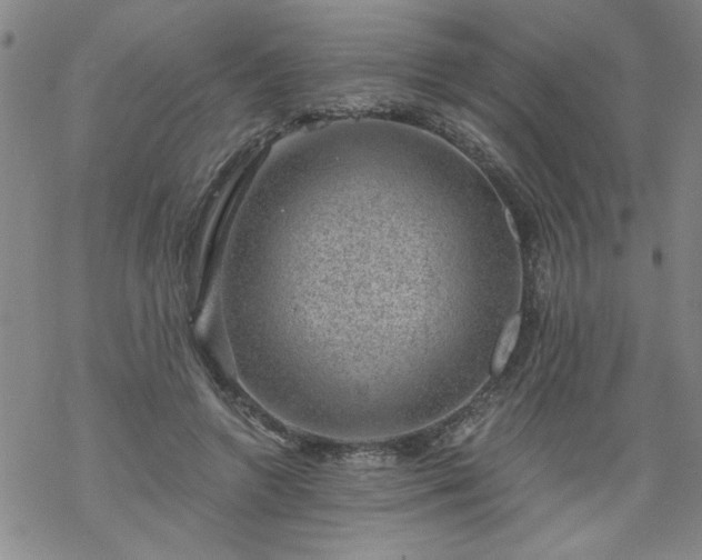 X0000068900546200605122102