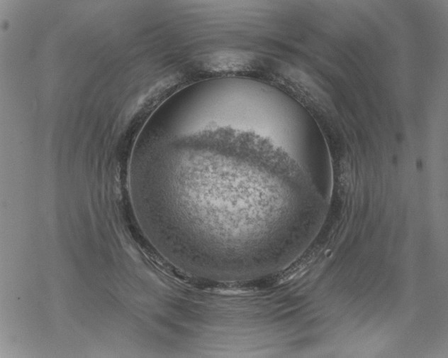 X0000068900547200605122102