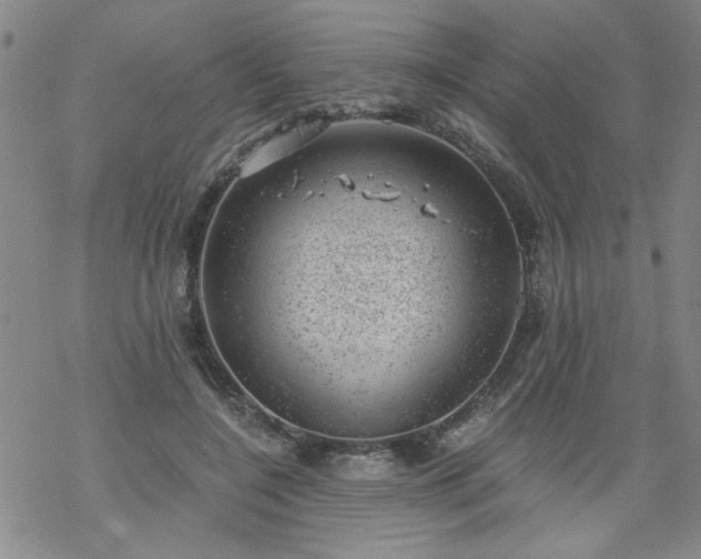 X0000068900548200605122102