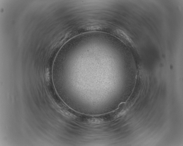 X0000068900549200605122102