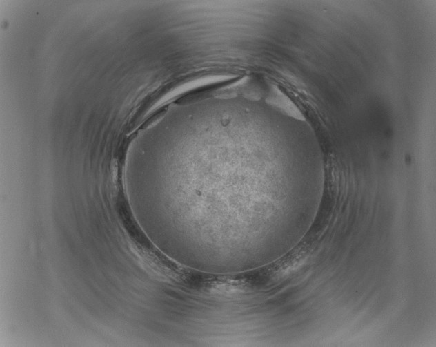 X0000068900550200605122102