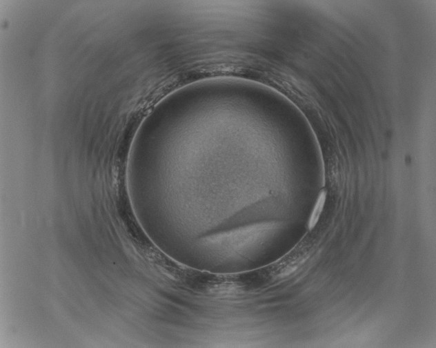 X0000068900551200605122103