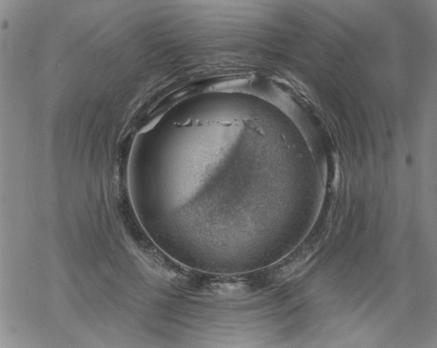 X0000068900552200605122103