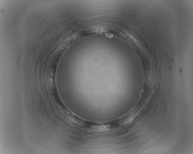 X0000068900553200605122103