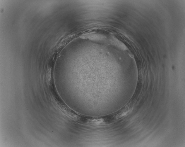 X0000068900554200605122103